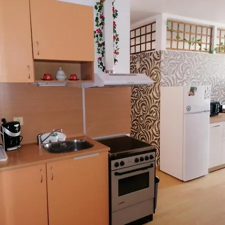 Sunny House Byala Апартаменты Бяла